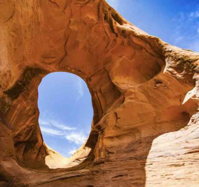 ear of thw Wind Facts