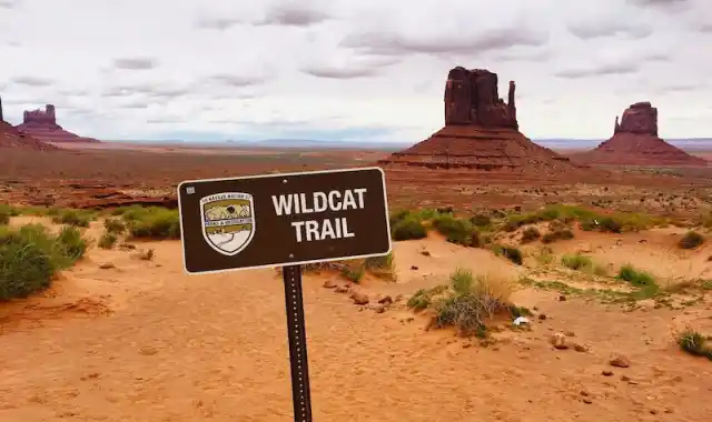 Wildcat Trail